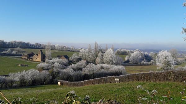 Paysage sous le givre