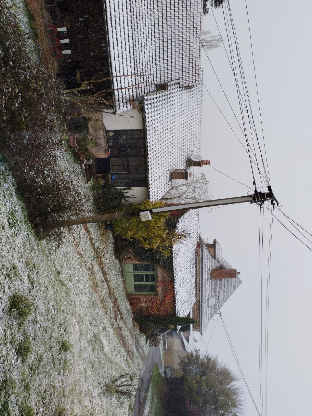 Neige à Collonge le 21 novembre 2024